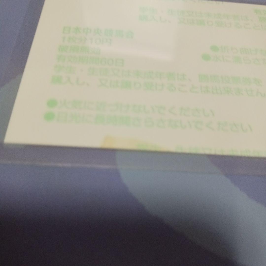 新春特売　現地単勝　新馬戦2002年 京都競馬 アドマイヤグルーヴ