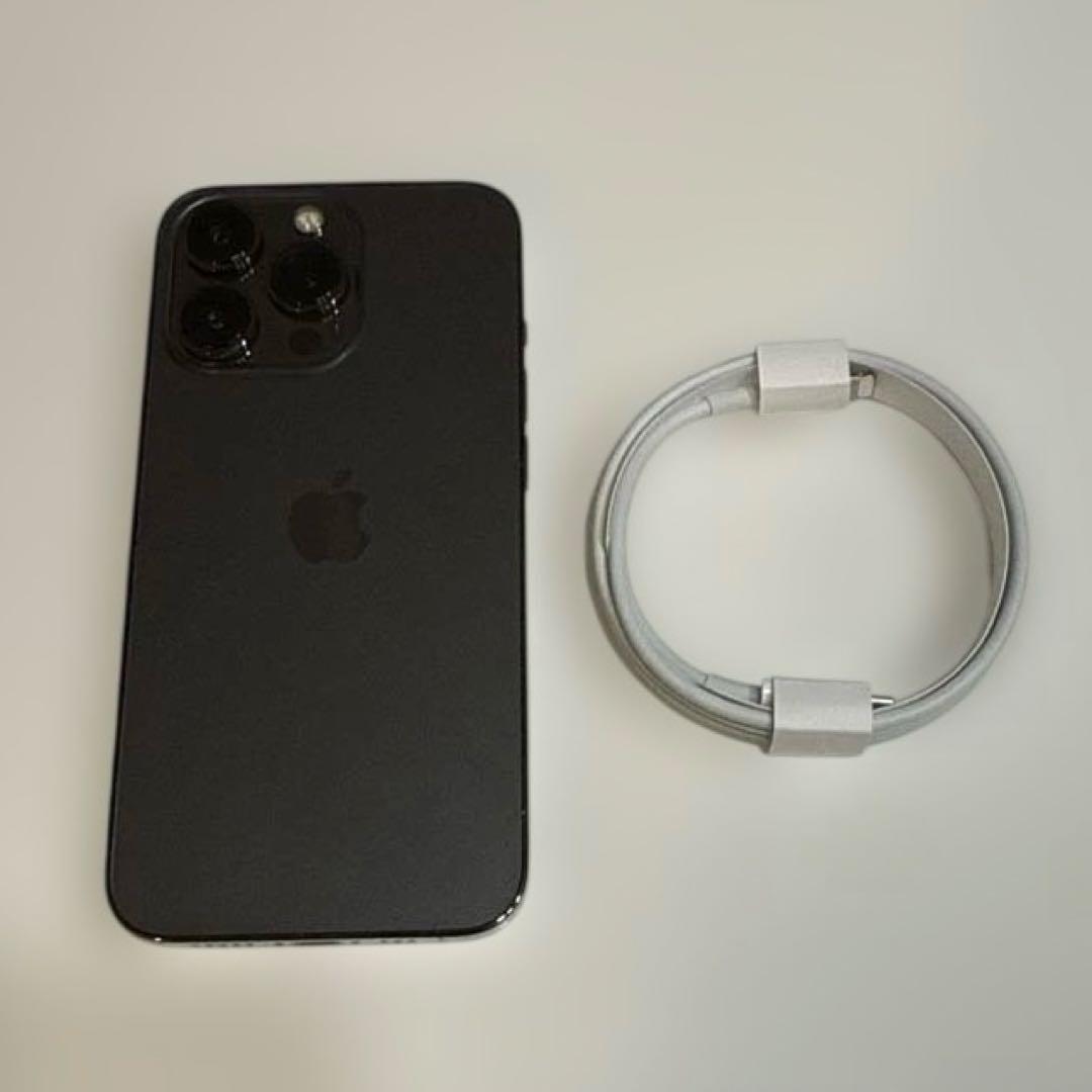 【完動品】Apple iPhone 13 Pro グラファイト