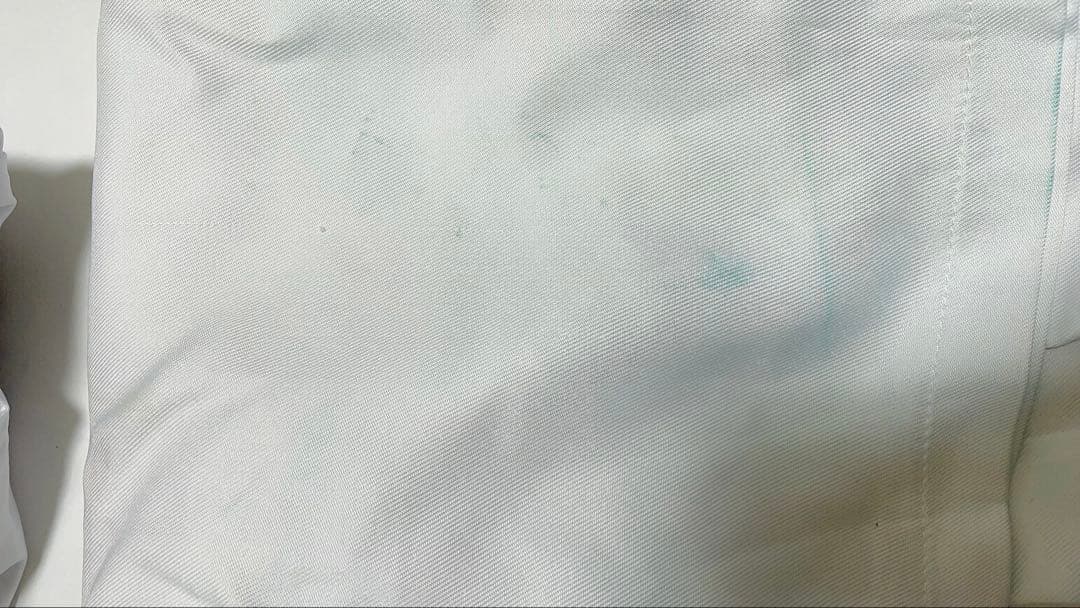 にじさんじ ROF-MAO 四神 甲斐田晴 L コスプレ