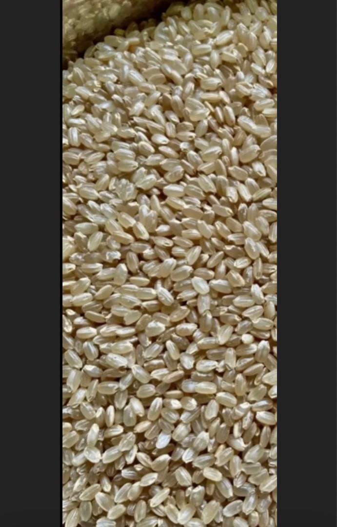 大分県産なつほのか　玄米20㎏キロ　こめ　お米10キロ㎏×2