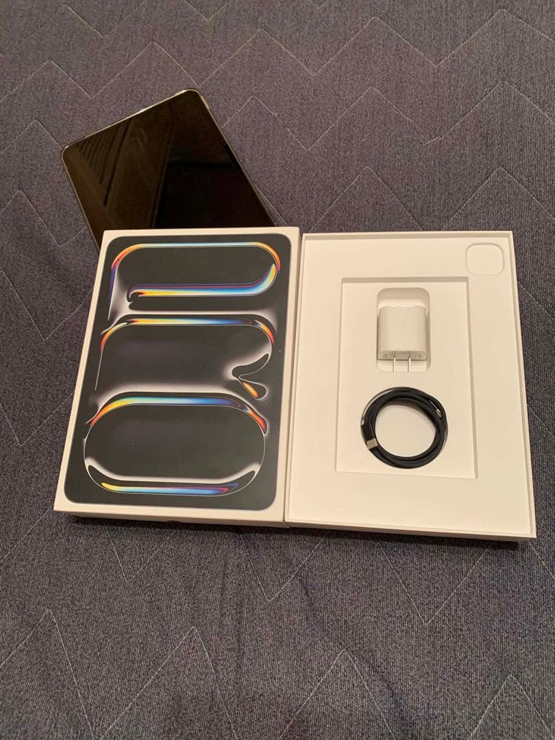 美品　Apple iPad Pro M4 11inch