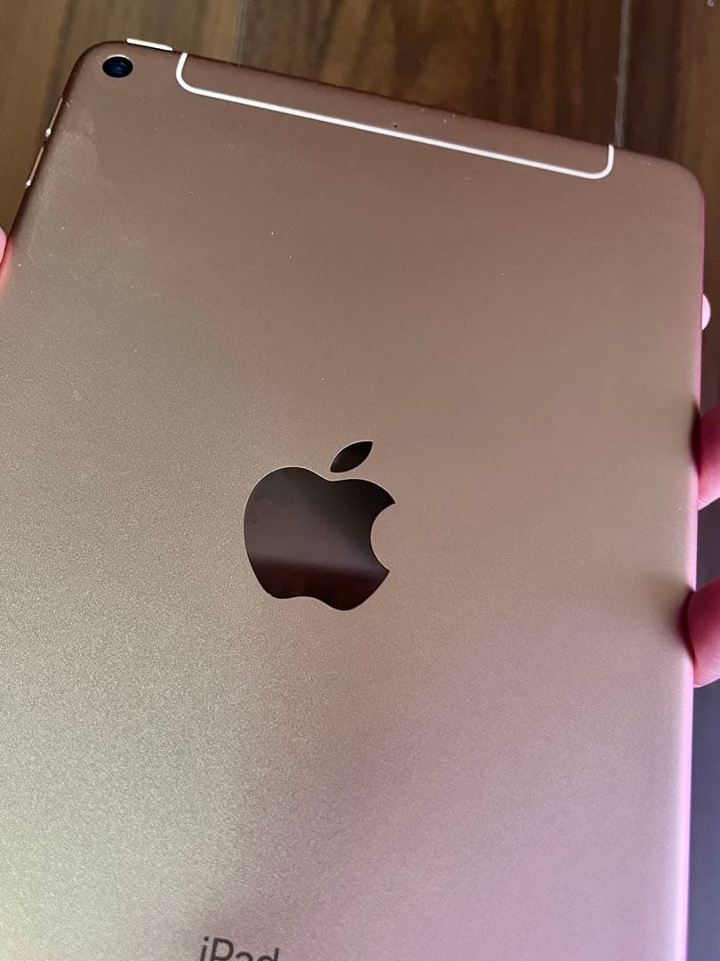 iPad mini 第5世代 ゴールド