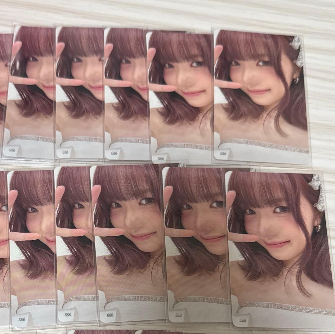 海老原鼓　066 10枚