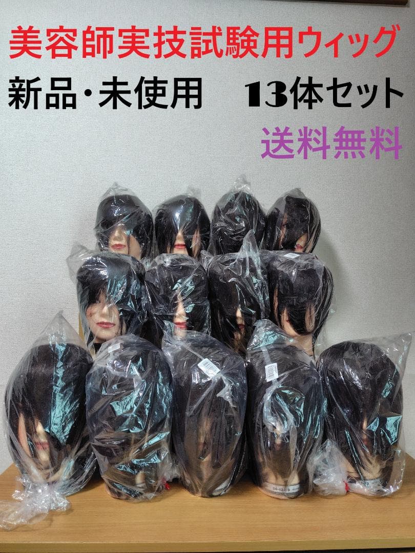 美容師国家試験用カットウィッグ 13体セット 新品