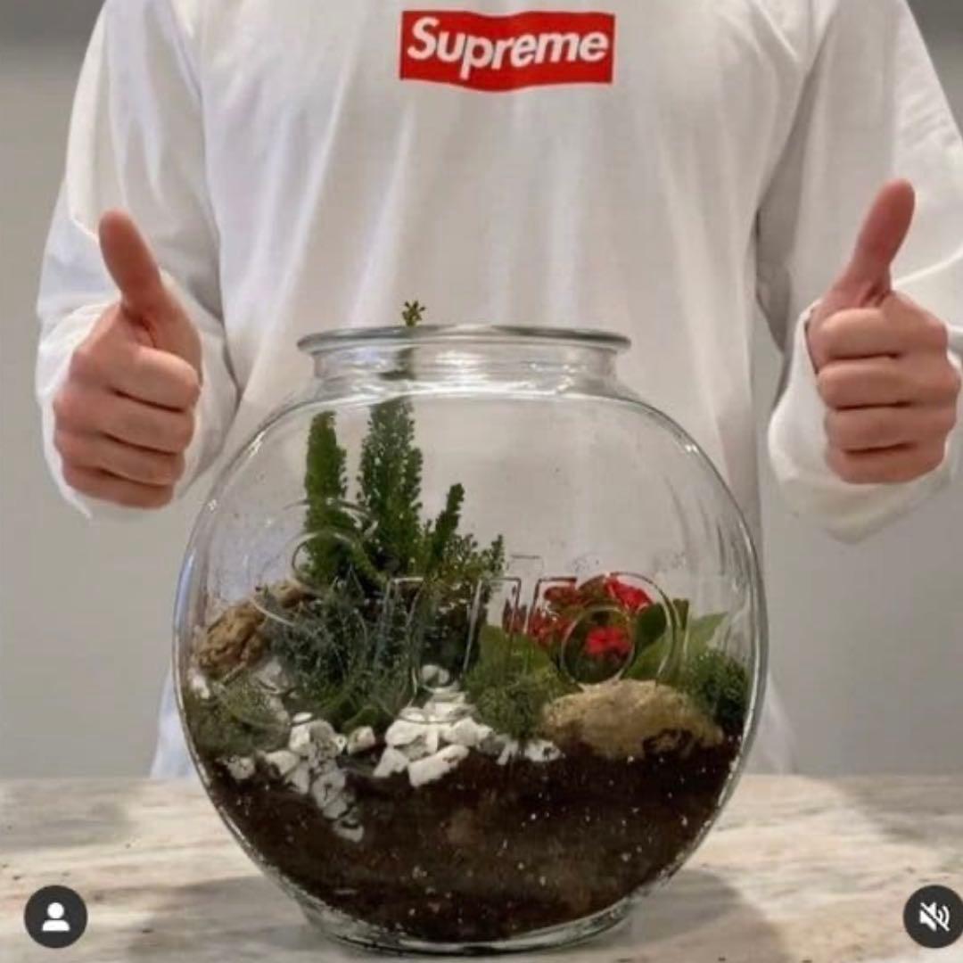 Supreme Fish Bowl シュプリーム　フィッシュボウル　クリア