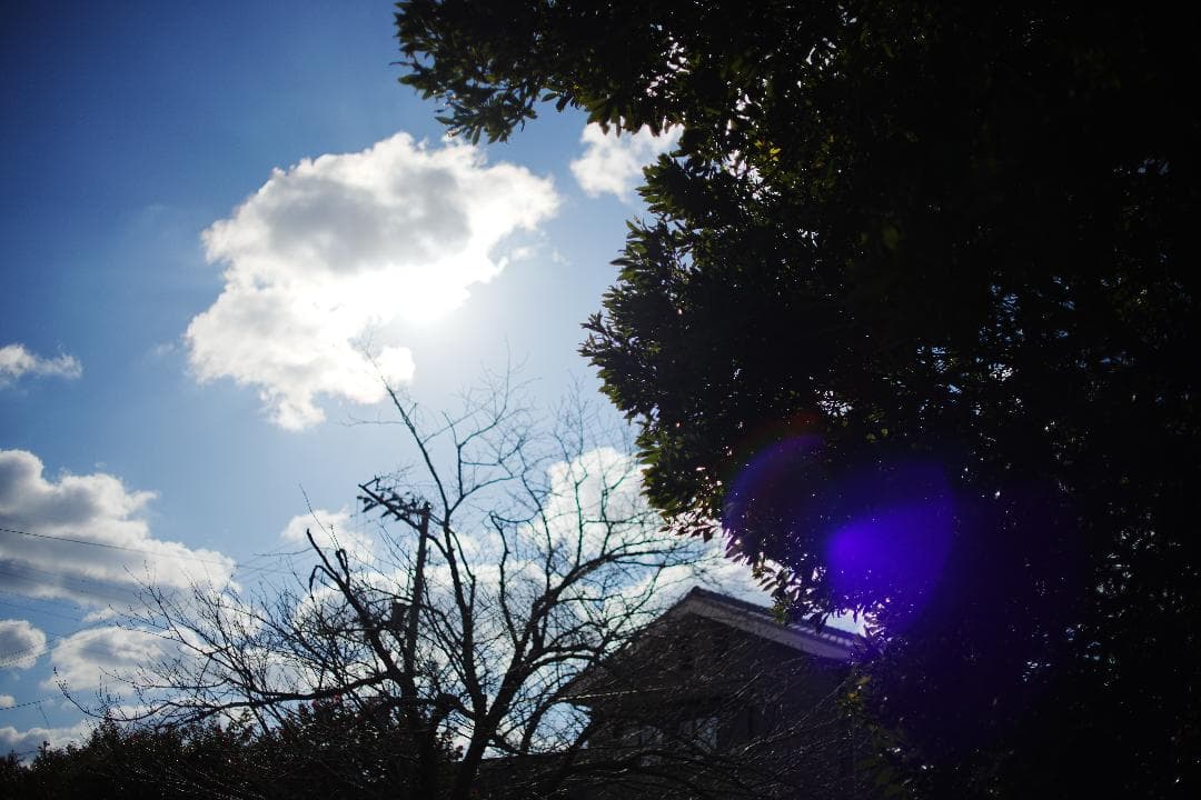 【希少】動作◎ ミノルタ MD W.ROKKOR 35mm F1.8 028