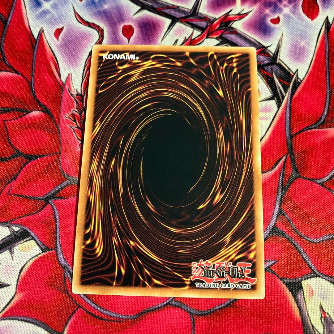 遊戯王　EU版　星辰鋏竜シャウラス　スターライトレア