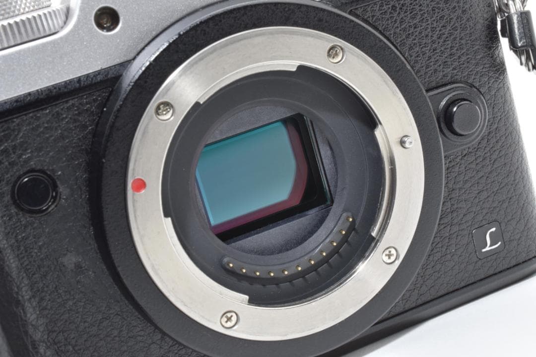 パナソニック LUMIX DMC-GX8 ボディ