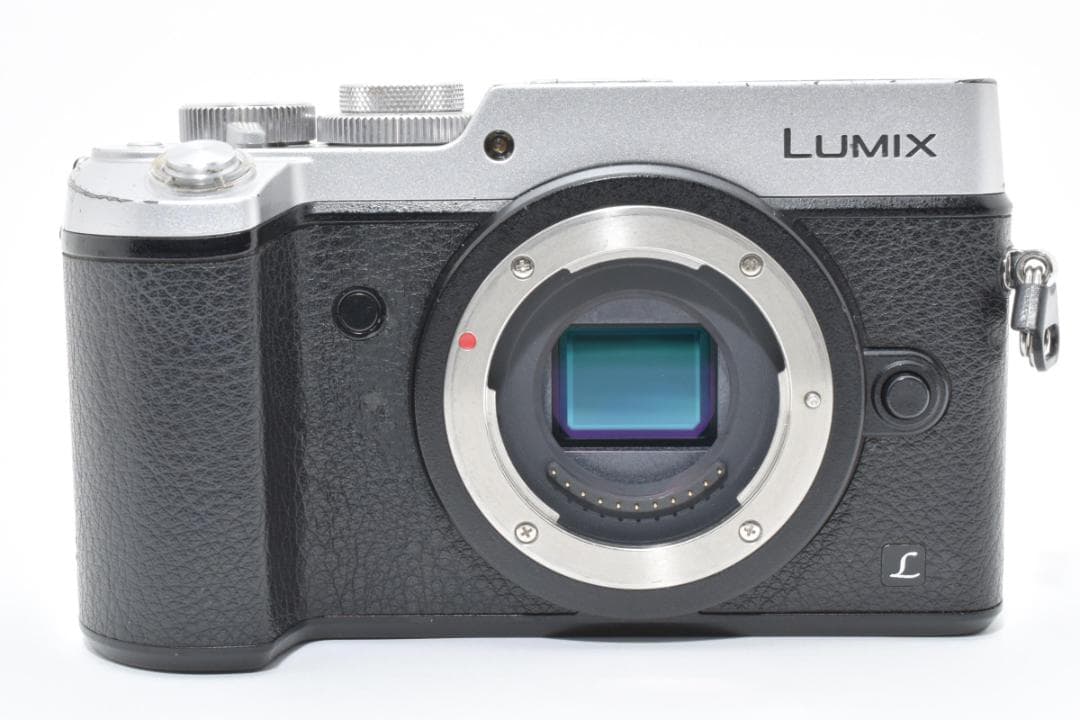パナソニック LUMIX DMC-GX8 ボディ