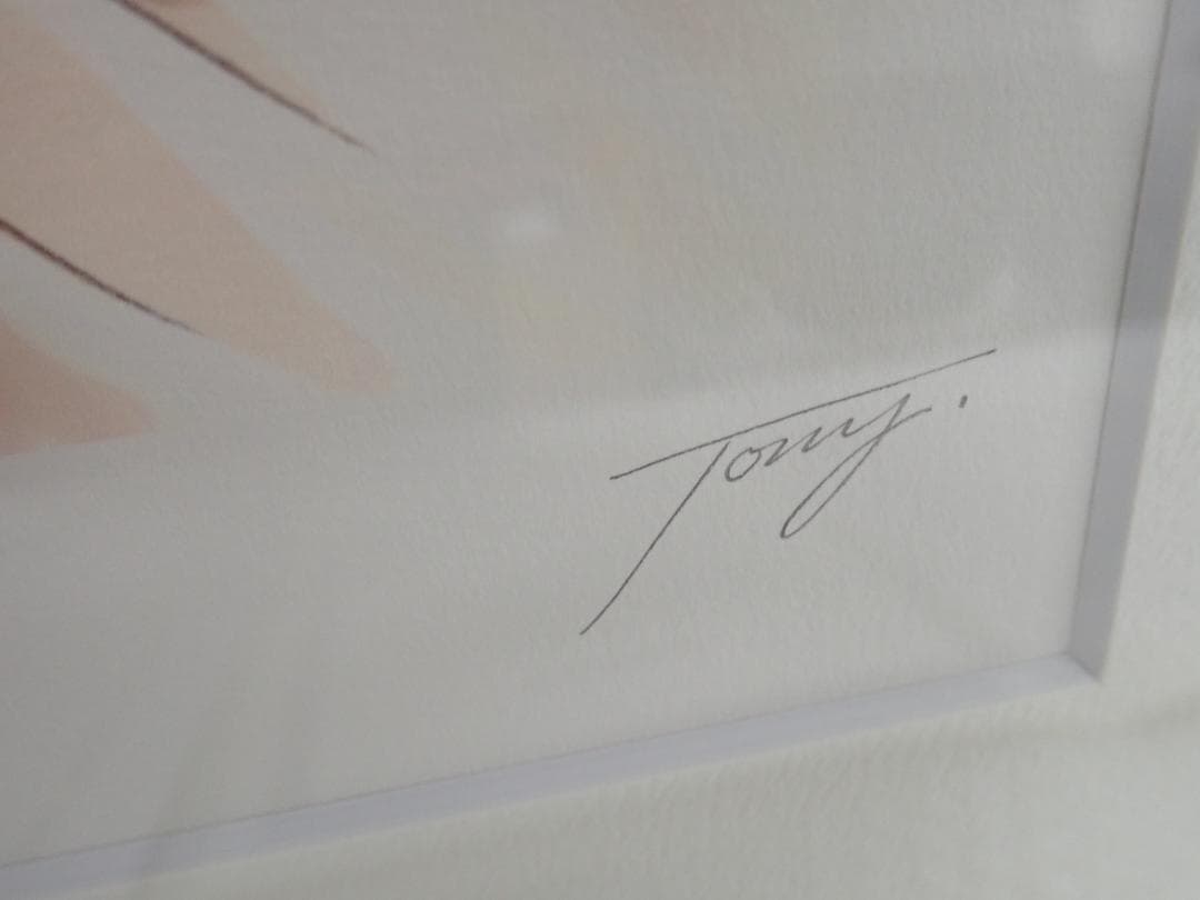 ⑦未使用・保証書付 Tony 「キャミソール」ミクスドメディア　アールビバン