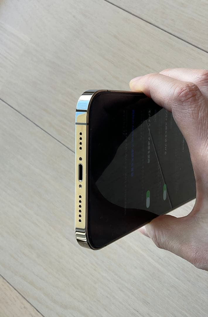 Apple iPhone 12 Pro Max イヤホンおまけ付き