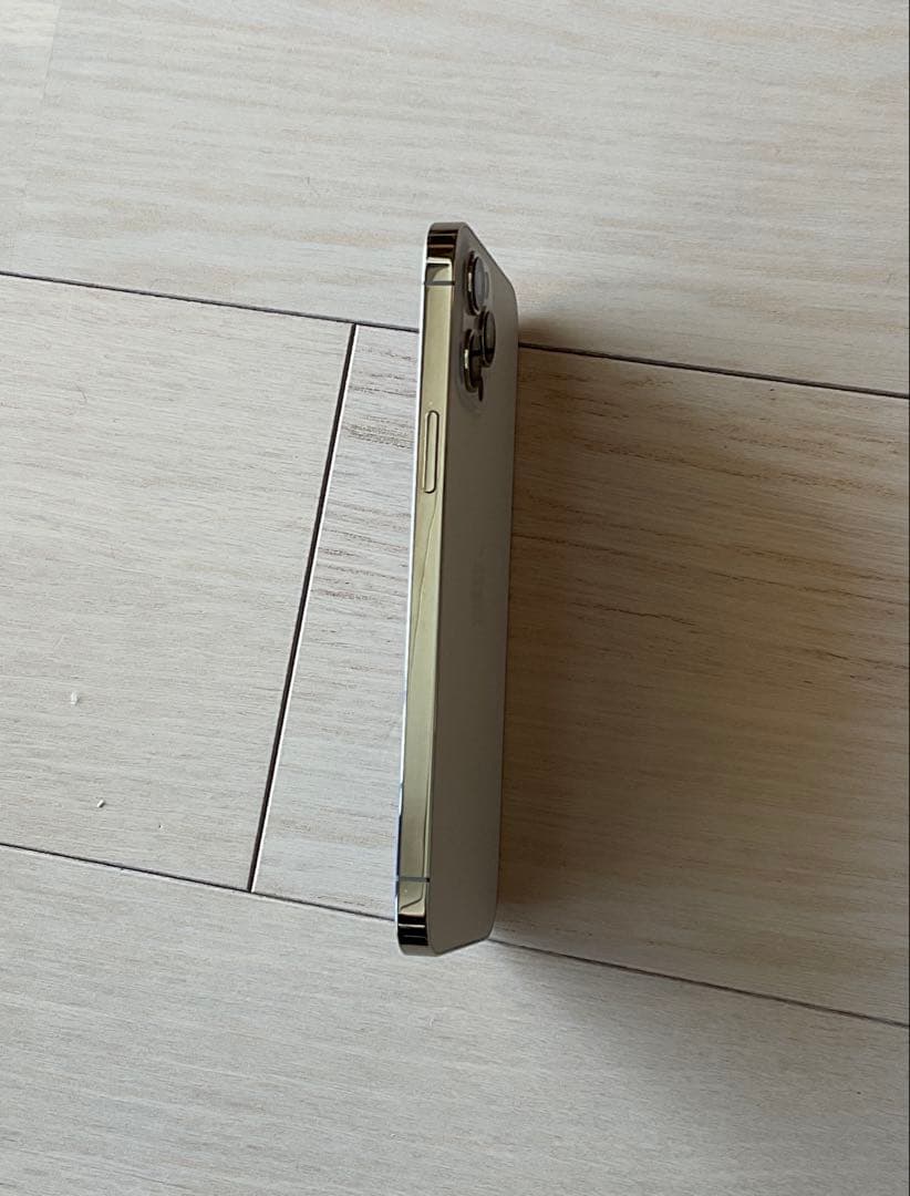 Apple iPhone 12 Pro Max イヤホンおまけ付き