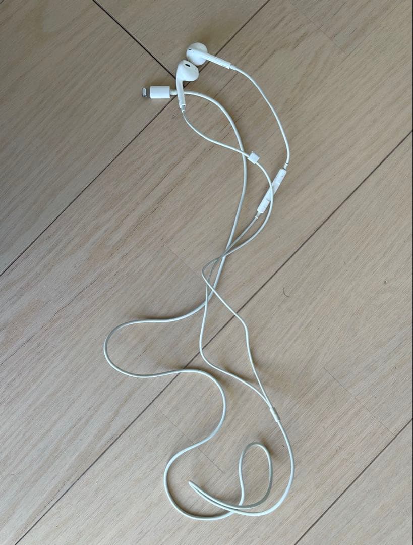 Apple iPhone 12 Pro Max イヤホンおまけ付き