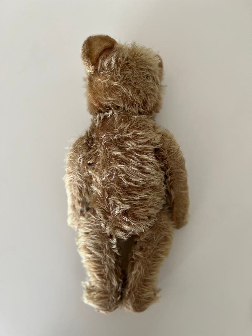 12/29日までチワワです