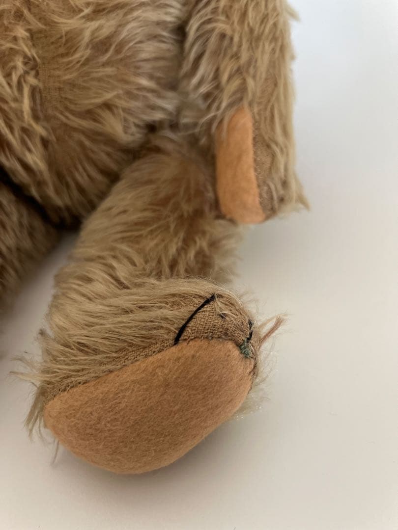 12/29日までチワワです