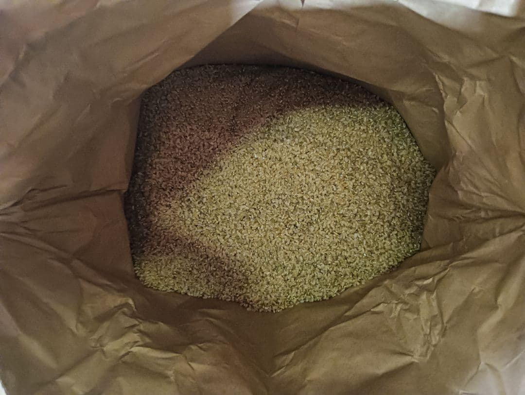 令和7年度　まっしぐら（玄米）20kg