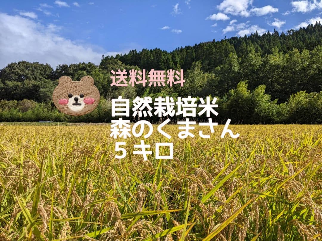 ★自然栽培米　玄米5kg　令和7年度　熊本県産　森のくまさん★