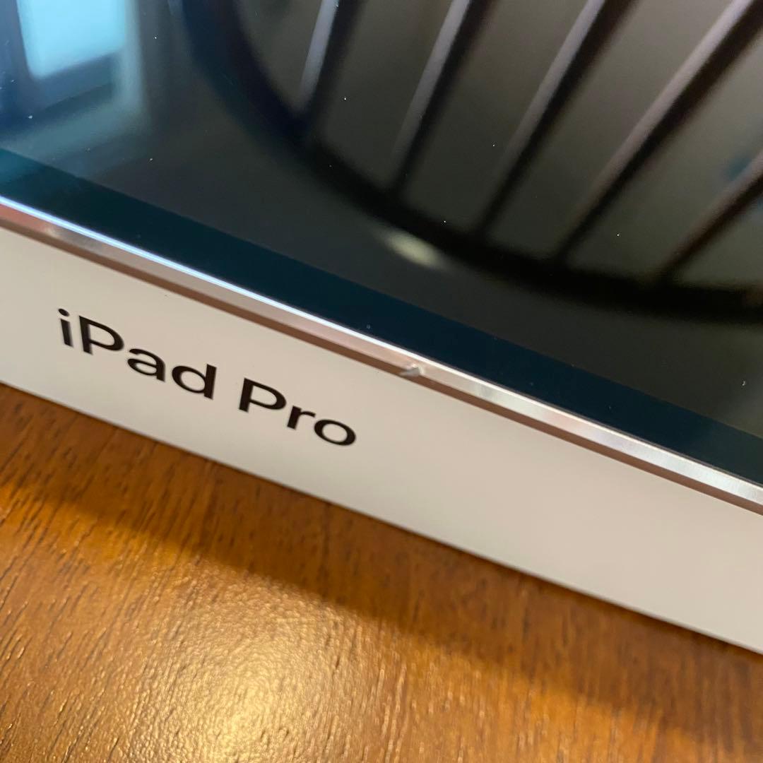 み*や様 (美品) iPad Pro 10.5インチ ApplePencil キ