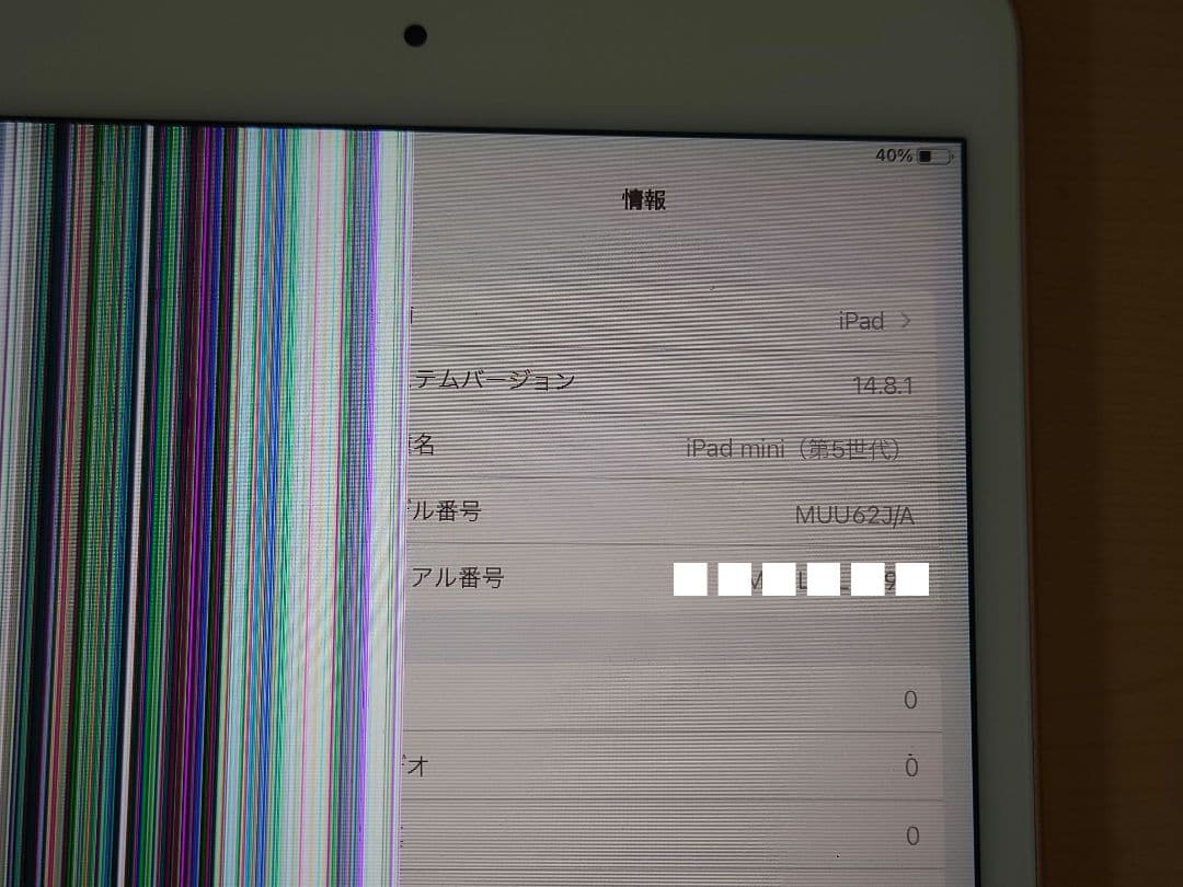 ま*ら様 ジャンク iPad mini5 本体 第5世代 256GB
