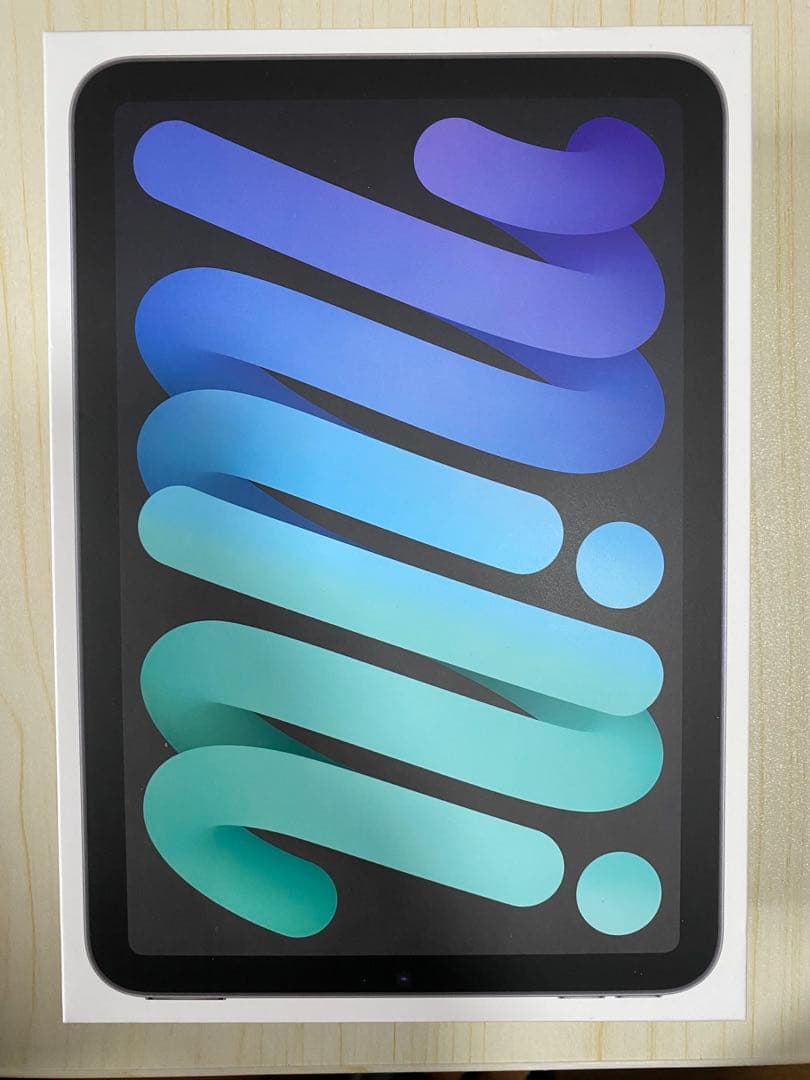 iPad mini Wi-Fi モデル 64GB スペースグレイ 第6世代