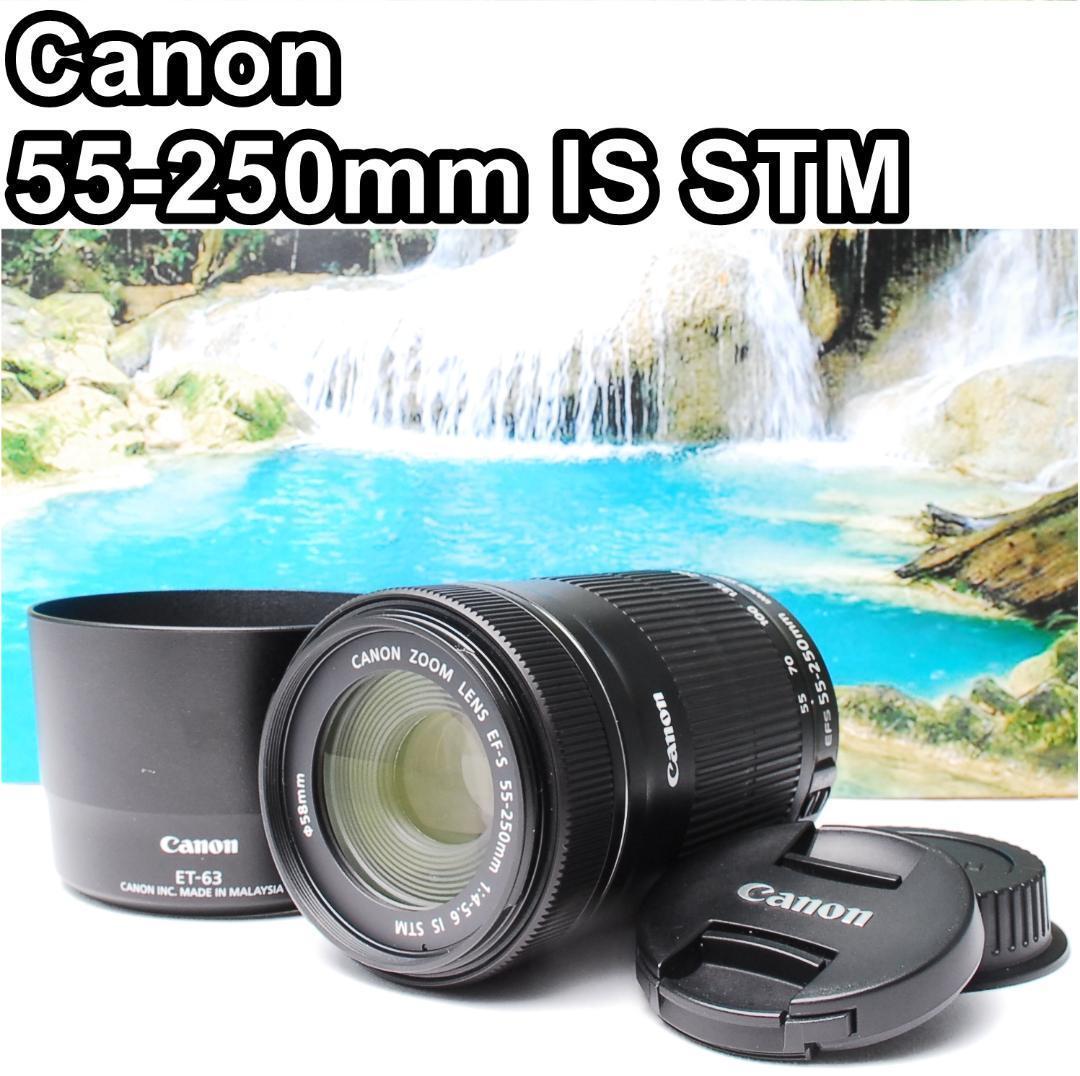 【極美品】Canon EF-S 55-250mm IS STM 最新望遠レンズ
