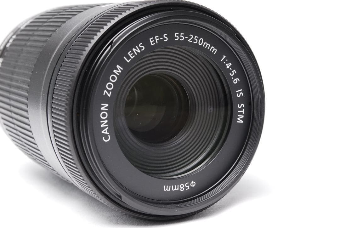 【極美品】Canon EF-S 55-250mm IS STM 最新望遠レンズ