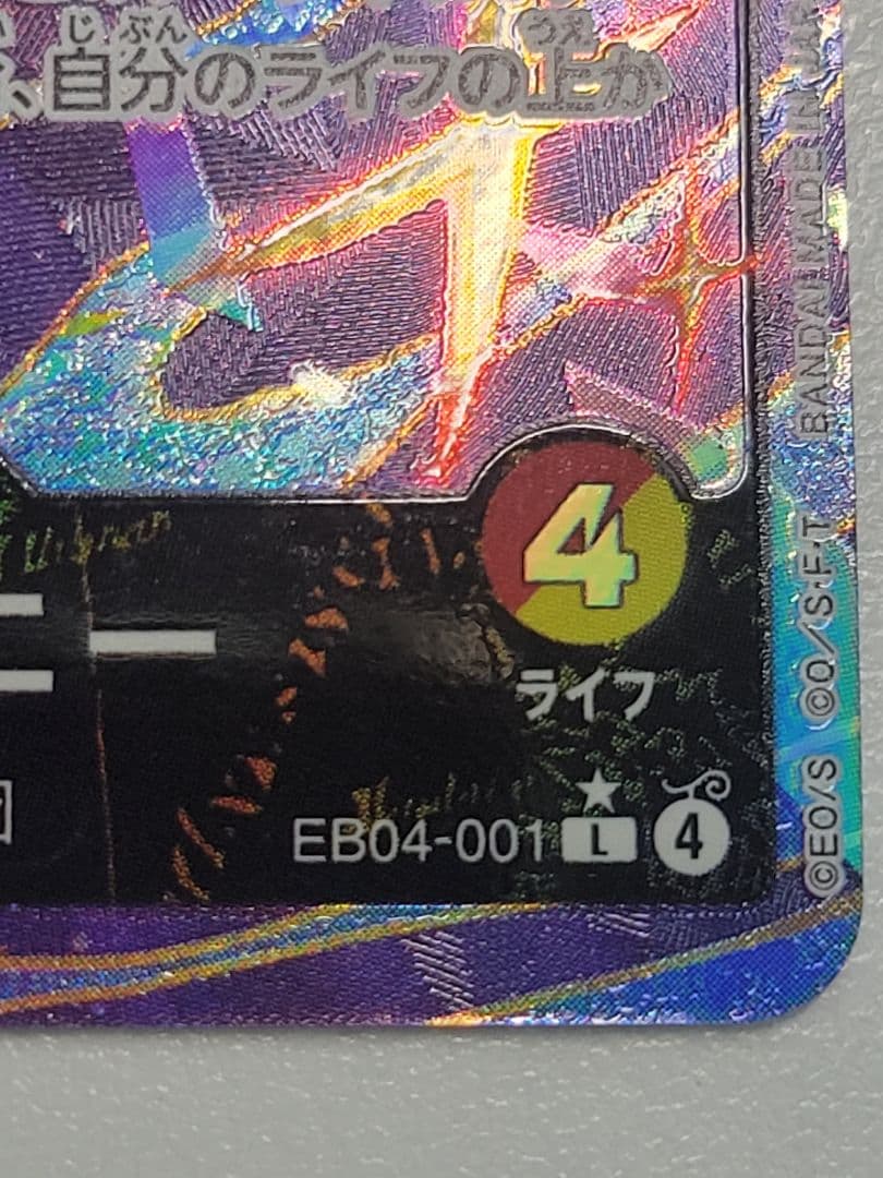 ジュエリー・ボニー　リーダー　パラレル EB04