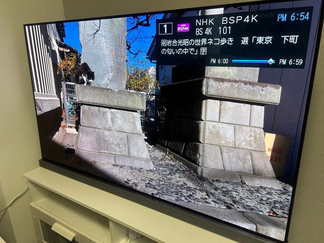 【美品】REGZA55X9400S[55インチ]4K有機ELテレビ 動作確認済み