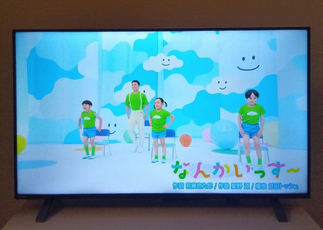 TOSHIBA REGZA レグザ 4K液晶テレビ 50C350X 50V型