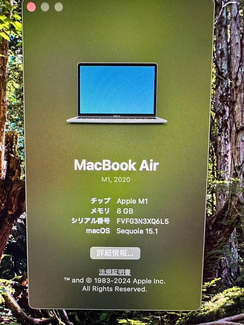最終価格‼️MacBook Air 13-inch M1
