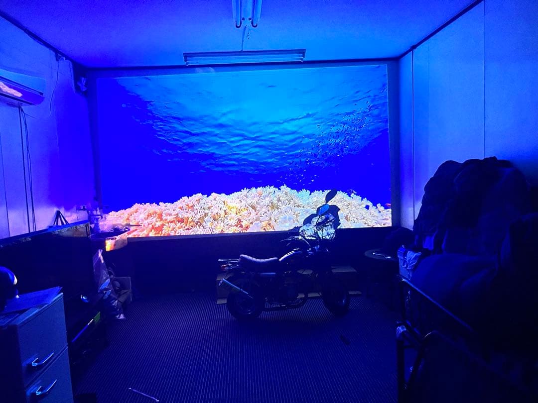 NEBULA Cosmos プロジェクター 本体&三脚付き