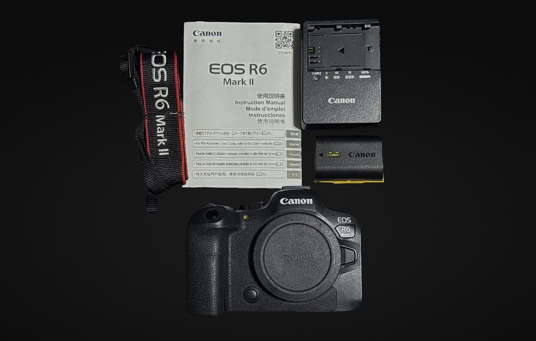 Canon EOS R6 mark2 ミラーレス一眼