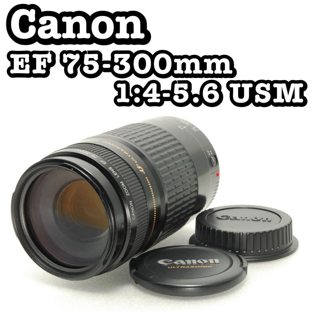 Canon EF 75-300mm USM ❤️ 望遠レンズ キヤノン 一眼レフ