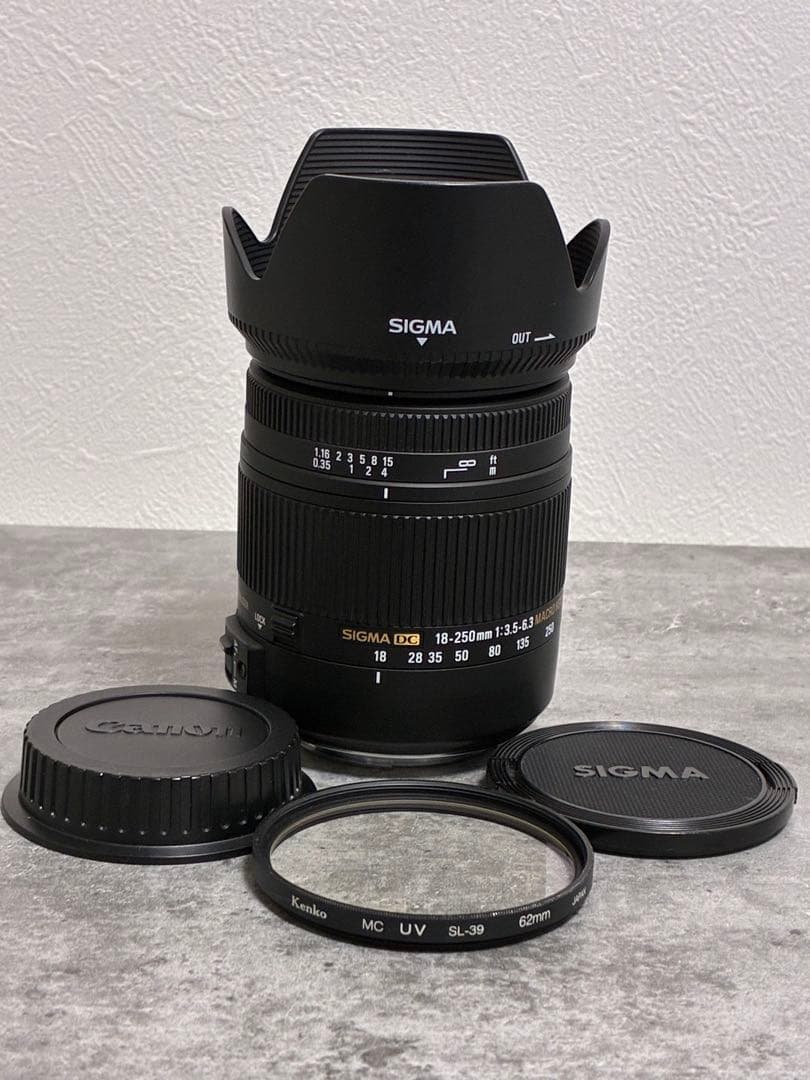⭐️美品⭐️ SIGMA 18-250mm 3.5-6.3 MACRO OS HSM