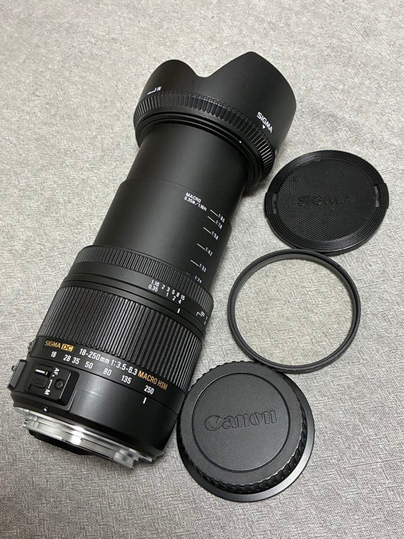 ⭐️美品⭐️ SIGMA 18-250mm 3.5-6.3 MACRO OS HSM