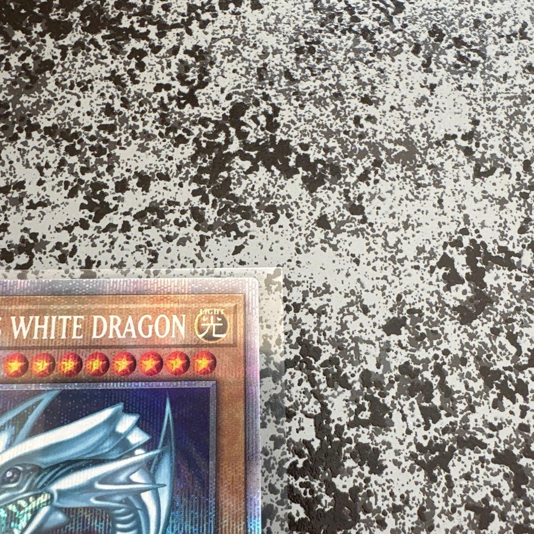 遊戯王 ブルーアイズホワイトドラゴン 青眼の白龍 英語版