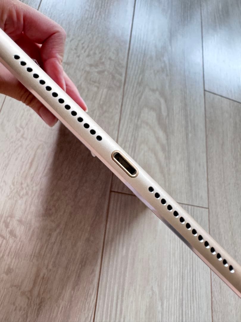 iPad本体 Apple iPad Air 2 64GB