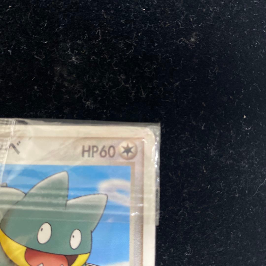 ポケパークのゴンベ　040/PCG-P わんぱくトレイン　ポケカ