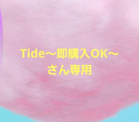 Tide〜即購入OK〜さん　専用