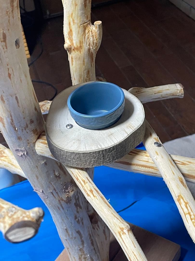 天然木白木バードジム　高さ92センチ