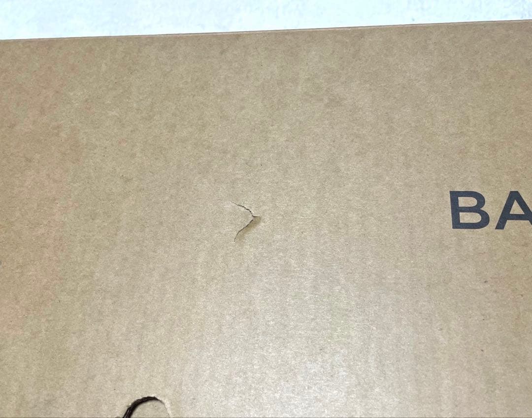 BALMUDA The Cleaner スティッククリーナー 【新品未使用品】