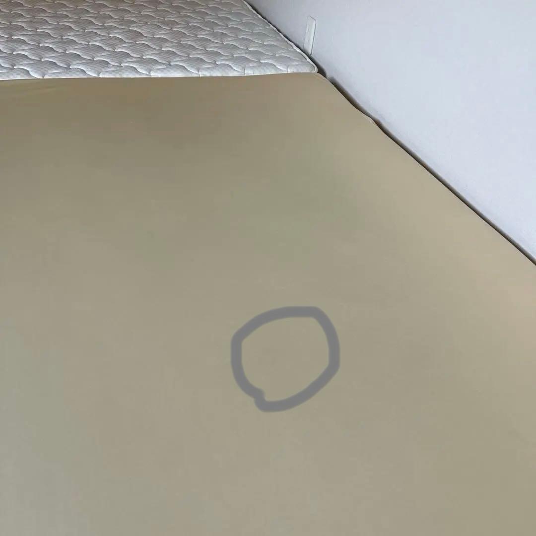 トゥルースリーパー正規品　クイーンサイズ