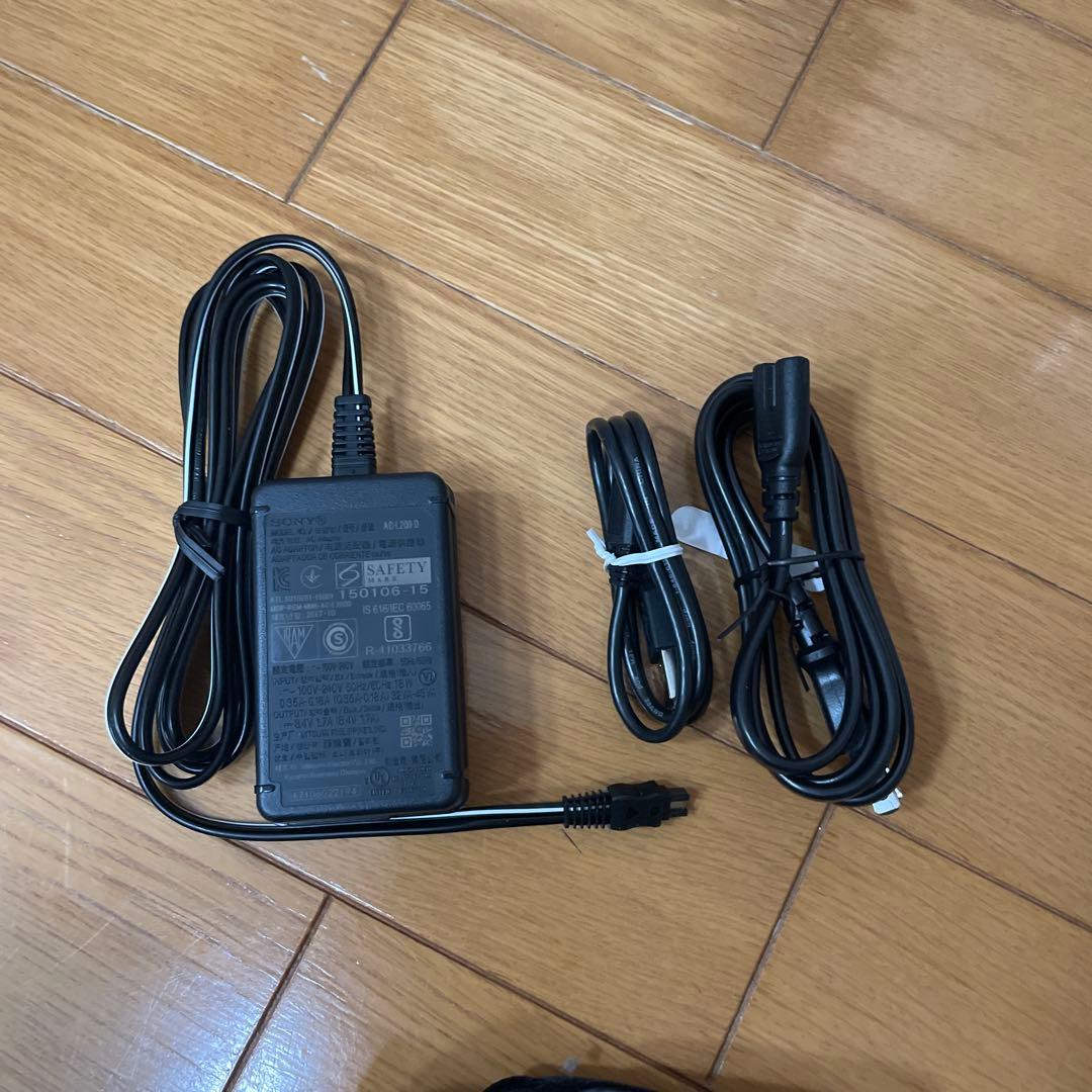 SONY FDR-AX60 5年間長期補償付き　ビデオカメラ 本体