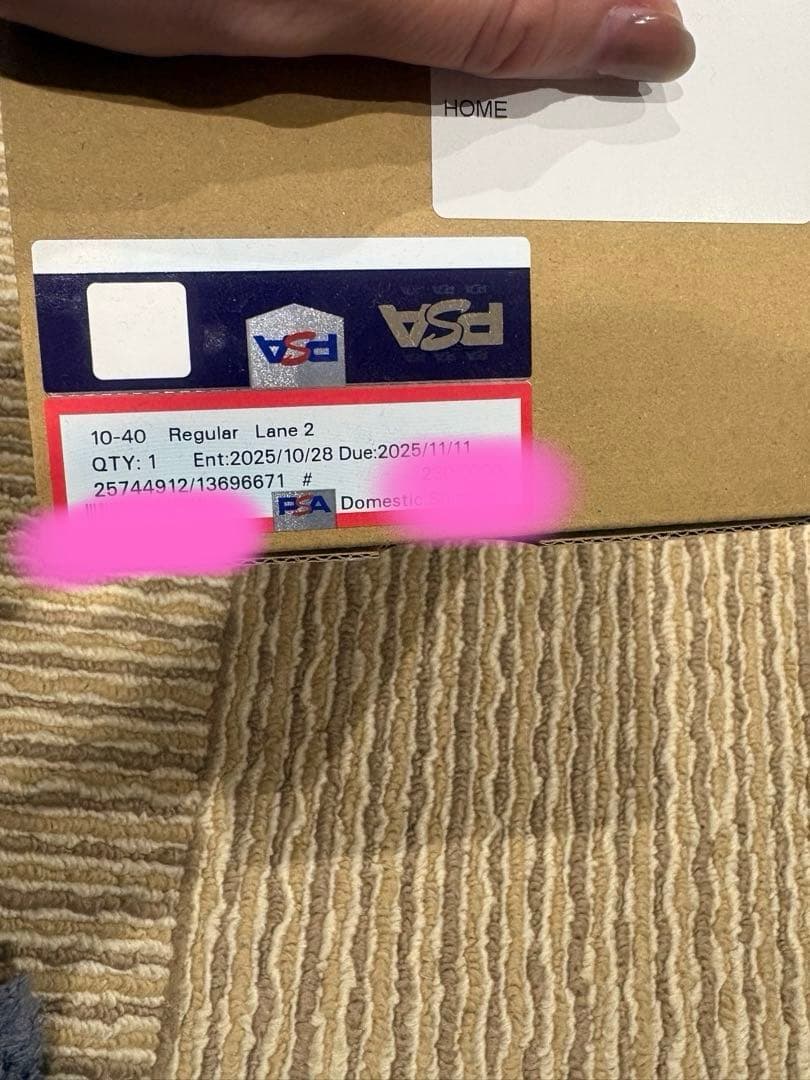 psa10 ONE PIECEカード　新時代の主役　ニカ　ルフィ　コミパラ