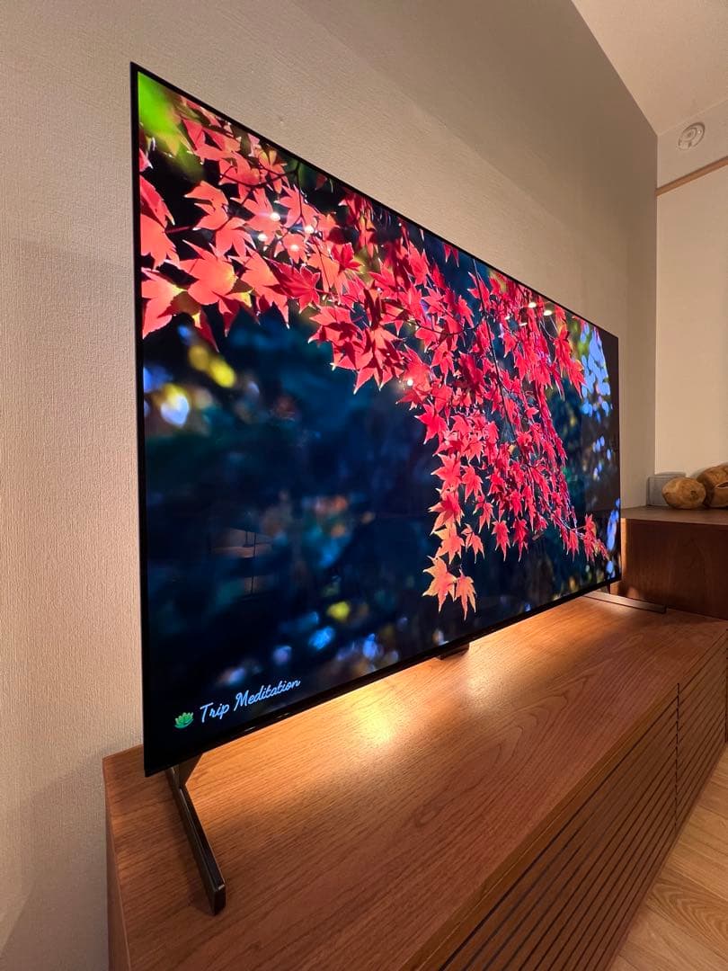 【- kijoy 様】SONY 65型 2021年製 XRJ-65A90J