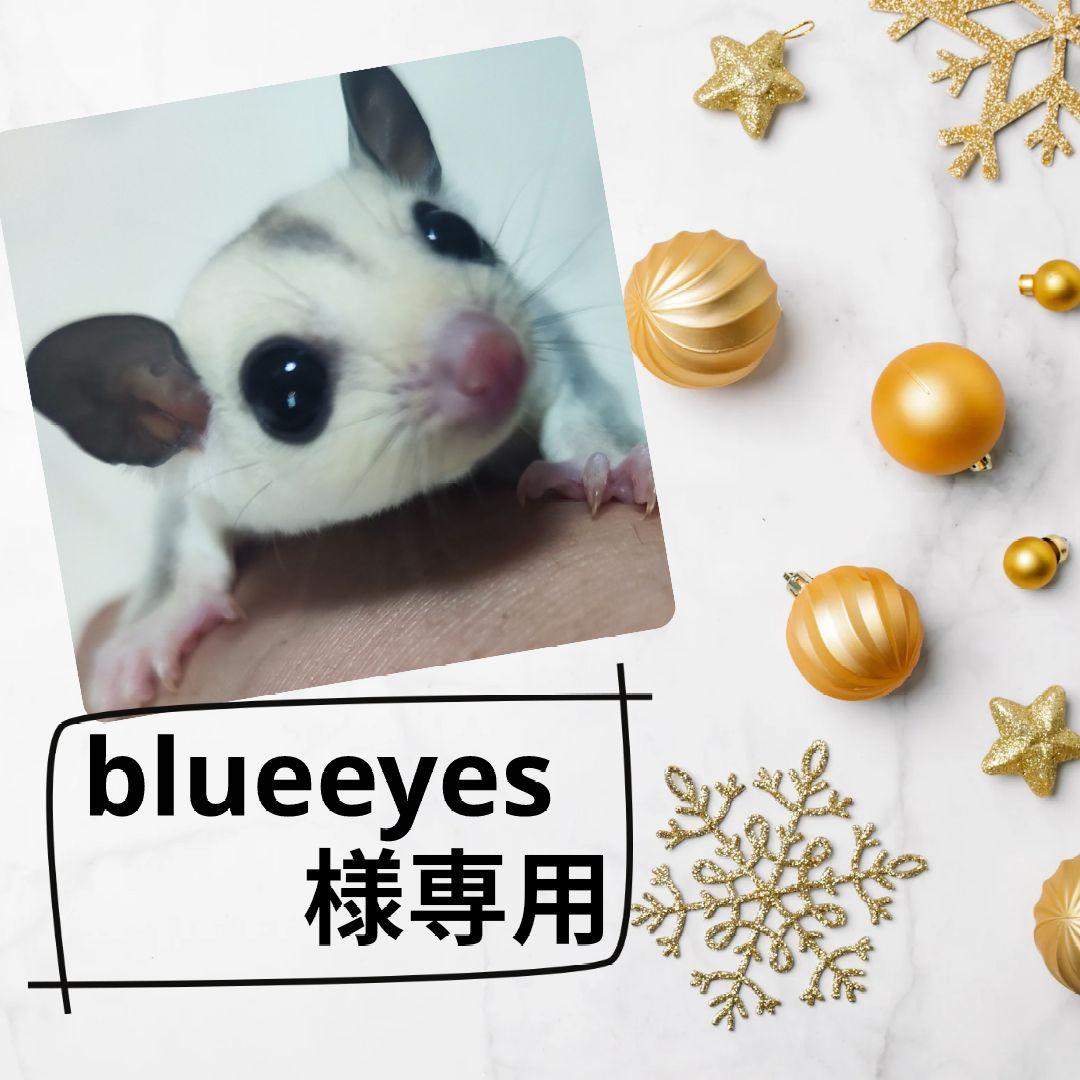 Nikon Z 50 ミラーレスカメラ、レンズとバッテリーセット