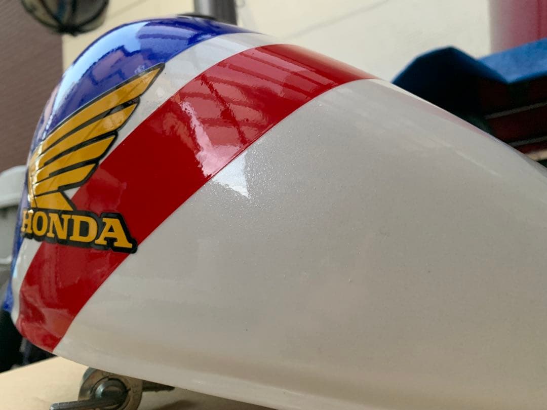 モンキー　ダンク　トリコロールカラー