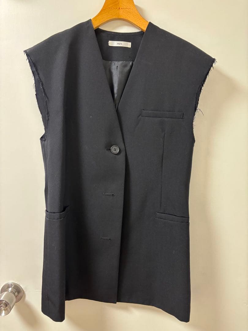 digne ノーカラージレ