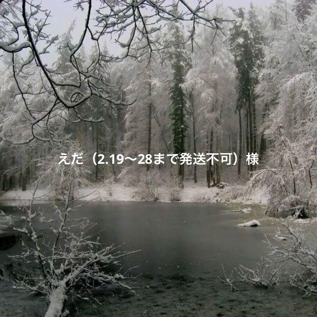 えだ（2.19〜28まで発送不可）