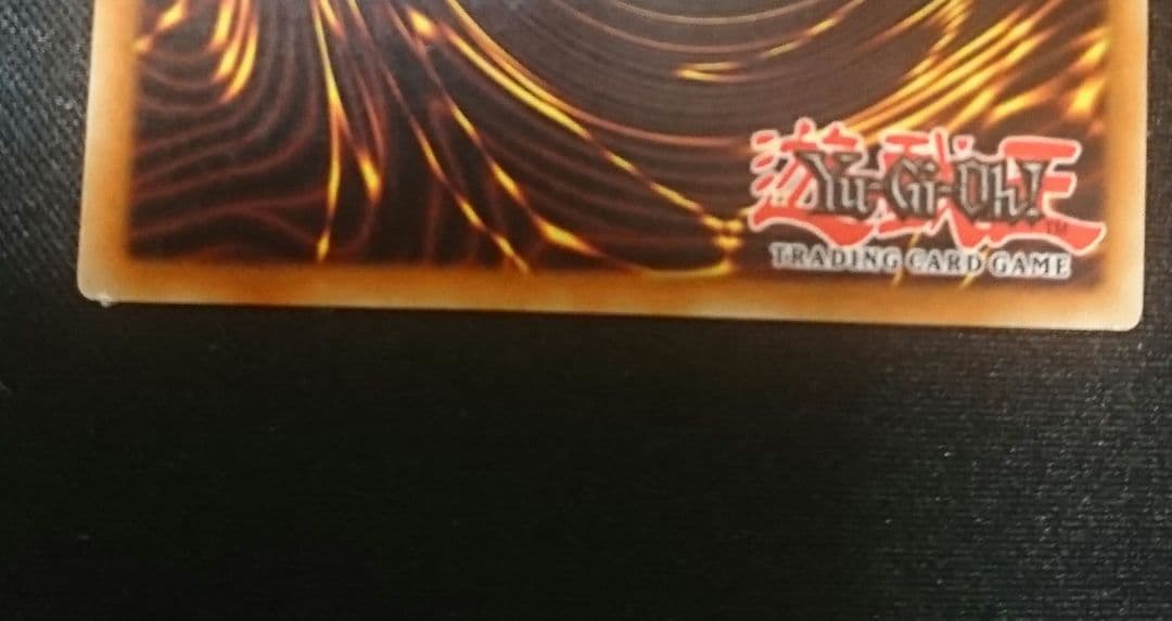 フォッシル・ダイナ パキケファロ　英語　EU版1stシークレット②　LODT